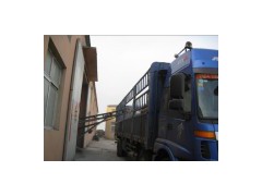 瓷磚膠泥-- 大連億科建材有限公司