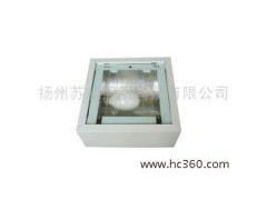 供應蘇威無極燈 加油站燈照明 照明企業 方型吸頂嵌入式-- 揚州市蘇威照明科技有限公司