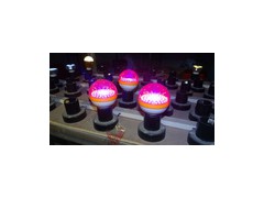 最新熱銷 3.6瓦LED植物生長(zhǎng)燈-- 中山市華登興照明有限公司