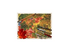 LHAMA(危險性美術(shù)材料標(biāo)簽法案 )-- 通標(biāo)標(biāo)準(zhǔn)技術(shù)服務(wù)有限公司