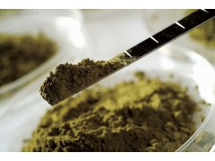 土壤.底泥與固廢.危廢檢測-- 上海中特檢測技術(shù)有限公司