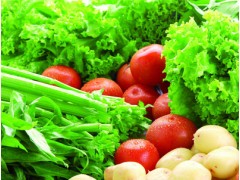 成都蔬菜水果冷庫設備銷售中心售-- 四川嘉信制冷設備有限公司