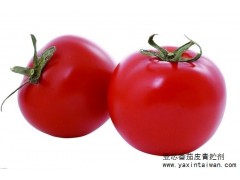 亞芯番茄皮青貯劑　乳酸菌發酵劑 番茄皮保存 飼料發酵劑-- 臺灣亞芯生物科技有限公司