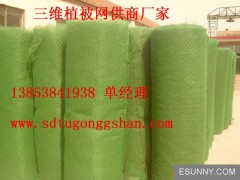 日照三維植被網(wǎng)廠家直銷甘肅三維植被網(wǎng)13853841938-- 山東永潤(rùn)玻纖格柵有限公司