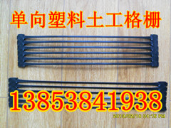 三門峽單向塑料土工格柵廠家/平頂山單向土工格柵-- 山東永潤(rùn)玻纖格柵有限公司