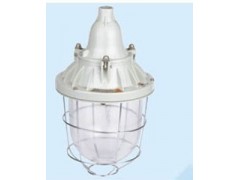 BAD54隔爆型防爆燈沿海地區專用-- 浙江省騰達防爆電氣有限公司