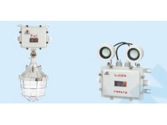 消防通道專用燈具廠家BCJ防爆照明應急兩用燈雙頭燈具-- 浙江省騰達防爆電氣有限公司