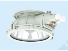 BXL-100防爆吸頂燈帶防鐵罩的防爆燈具-- 浙江省騰達防爆電氣有限公司