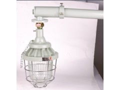 BCM-CCD騰達BCM防爆馬路燈-- 浙江省騰達防爆電氣有限公司