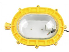 防腐等級：WF1  BTD97防爆投光燈騰達防爆 防護等級-- 浙江省騰達防爆電氣有限公司