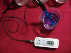 武漢便攜式酸度計廠家首選銀廷儀器13618625780|027-87332680-- 湖北銀廷儀器有限公司