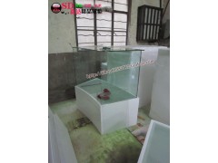 上海田森鋼化玻璃島柜展臺招商|鋼化島柜弧形展柜烤漆展柜臺-- 上海田森貨架有限公司