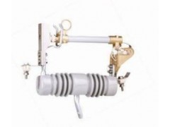 供應PD-10/100A出口型跌落式熔斷器找誠信廠家【軒泰電氣】-- 樂清軒泰電氣科技有限公司