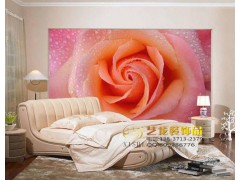 平頂山哪里有賣壁紙、壁畫的？藝龍壁畫-- 愛家時尚墻貼鄭州藝龍裝飾品有限公司