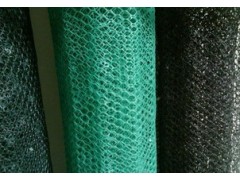 衡水哪里的三維植被網(wǎng)邊坡防護網(wǎng)價格便宜？-- 衡水信誠工程橡膠有限公司