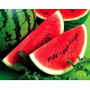 臨沂哪里的西瓜價格便宜？