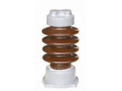 供應(yīng)ZS-20/8支柱絕緣子找誠(chéng)信廠家【軒泰電氣】-- 樂(lè)清軒泰電氣科技有限公司