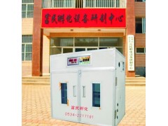 供應(yīng)德州富民孵化機(jī) 孵化設(shè)備-- 德州市德城區(qū)富民孵化設(shè)備研制中心