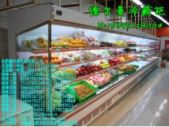 上海哪里有賣醫用冷柜\上海哪里有賣醫用保鮮柜-- 合肥德爾曼商用設備公司