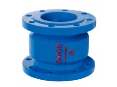 溫州HC41X消聲止回閥廠家首選永嘉縣佳斯科閥門制造-- 永嘉縣佳斯科閥門制造有限公司