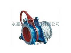 手動帶波紋管扇形盲板閥-- 永嘉縣永華閥門有限公司