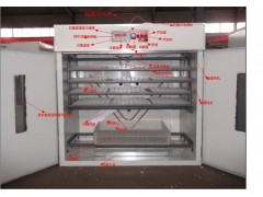 孵化機全自動孵化箱-- 德州市德城區富民孵化設備研制中心