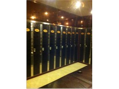 泰州會所浴場更衣柜廠家首選新麗佳居板材-- 新麗佳居板材加工部市場中心