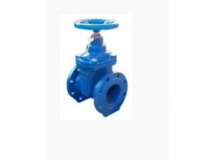 軟密封閘閥廠家首選-- 溫州邦本閥門制造有限公司銷售部