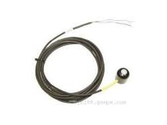 特價銷售短波輻射傳感器CS300-- 北京博倫經緯科技有限公司