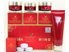 軟盒天使之翼全新包裝，高效祛斑美白組合-- 廣西南寧市護膚精品化妝品公司銷售部