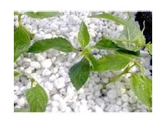 供應(yīng)花博會推薦產(chǎn)品——農(nóng)業(yè)基質(zhì)、育苗基質(zhì)、園藝珍珠巖-- 常州綠能保溫科技有限公司