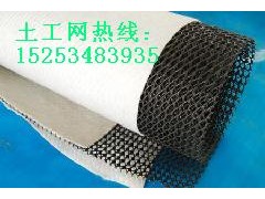 德州哪里的鐵路隧道用三維復(fù)合排水網(wǎng)價(jià)格便宜？-- 陵縣華龍化纖有限公司