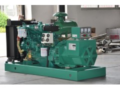 領(lǐng)馭牌康明斯發(fā)電機組-- 江蘇領(lǐng)馭電機有限公司