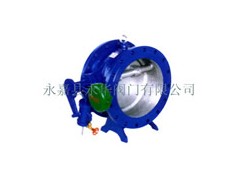 溫州HH47X蝶式緩沖止回閥公司推薦永嘉縣永華閥門-- 永嘉縣永華閥門有限公司