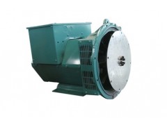 江蘇純銅無刷發(fā)電機廠家領(lǐng)馭電機最專業(yè)-- 江蘇領(lǐng)馭電機有限公司