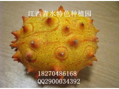 火參果鮮果批發(fā)零售-- 江西青水特色種植園