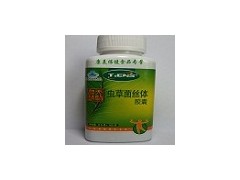 天獅蟲草菌絲體膠囊-- 中國直銷產品商城