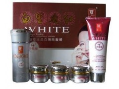 麗一汀本草白里透紅美容套裝（五合一）祛斑草本-- 廣西南寧市護膚精品化妝品公司銷售部
