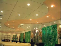 海南軟膜天花海口日源節能工程有限公司最專業-- ?？谑腥赵垂澞芄こ逃邢薰臼袌鲋行? class=