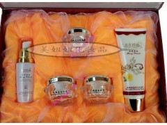 愛莉莎嫩膚養(yǎng)顏套裝，愛莉莎效果-- 廣西南寧市護(hù)膚精品化妝品公司銷售部