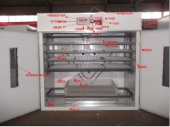 供應德州孵化機 陜西孵化設備-- 德州市德城區富民孵化設備研制中心