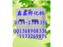 全自動鴿子孵化機長春孵化機齊齊哈爾孵化機www.xinxinfuhua.com-- 山東鑫鑫孵化設(shè)備廠