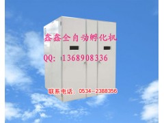 小型孵化機盡在鑫鑫孵化設備廠www.xinxinfuhua.com-- 山東鑫鑫孵化設備廠