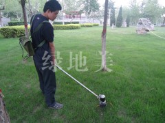 石家莊果園除草機公司推薦莊綠華機械科技-- 石家莊綠華機械科技有限公司