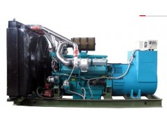 領馭牌通柴柴油發電機組-- 江蘇領馭電機有限公司