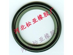 松亞橡膠專業批發各種格萊圈/斯特封-- 河北松亞橡膠廠