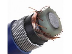 供應合肥出口額定電壓0.6/1kV低壓交聯聚乙烯絕緣電力電纜-- 綠寶電纜(集團)有限公司