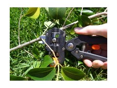 供應(yīng)批發(fā)葡萄嫁接機(jī)-- 永康市古月胡工貿(mào)有限公司