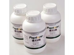 大豆蛋白胨工業級專業生產廠家技術指導廠家直銷-- 安泰生物工程股份有限公司市場部