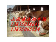 山東西門塔爾，夏洛萊肉牛多少錢？盛達奶牛養殖場告訴你價格-- 山西省盛達奶牛養殖場